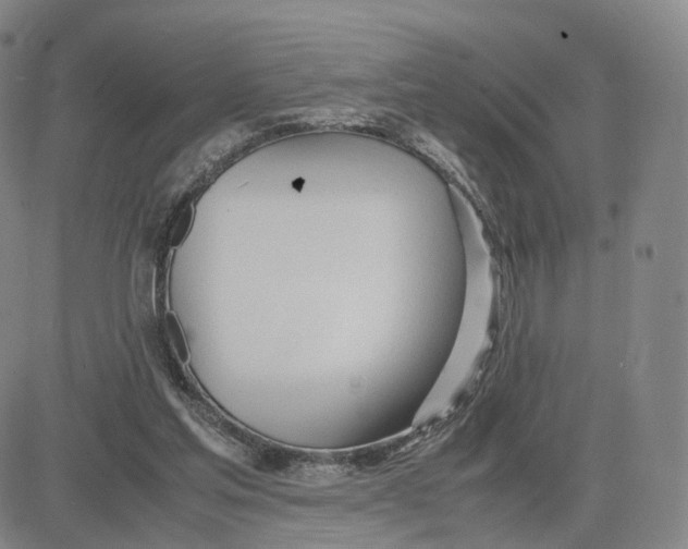 X0000083010205200702231821