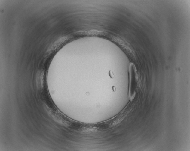 X0000083010206200702231821