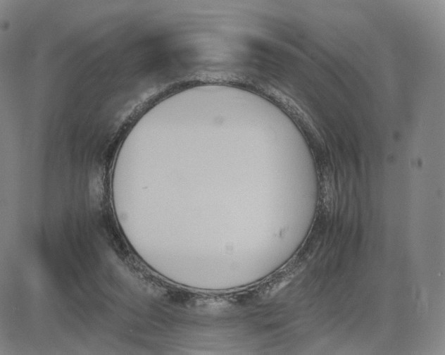 X0000083010208200702231821