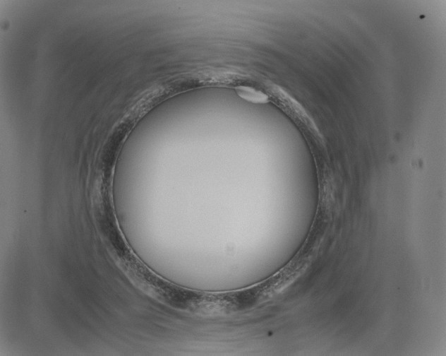 X0000083010209200702231821