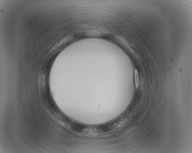 X0000083010211200702231821