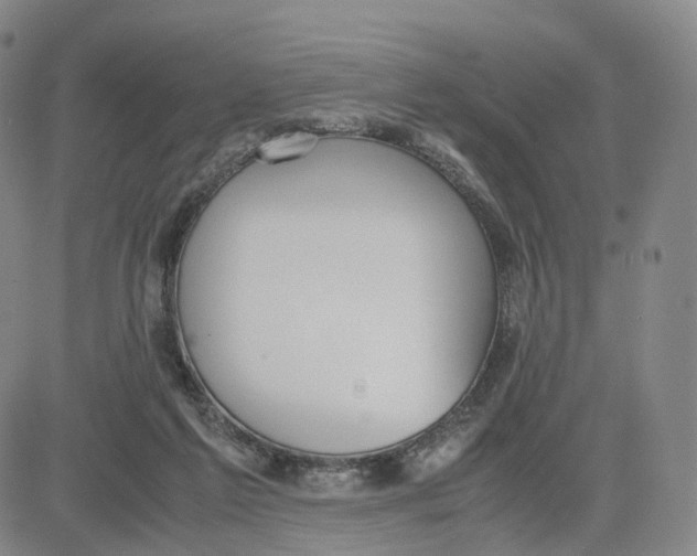 X0000083010213200702231821