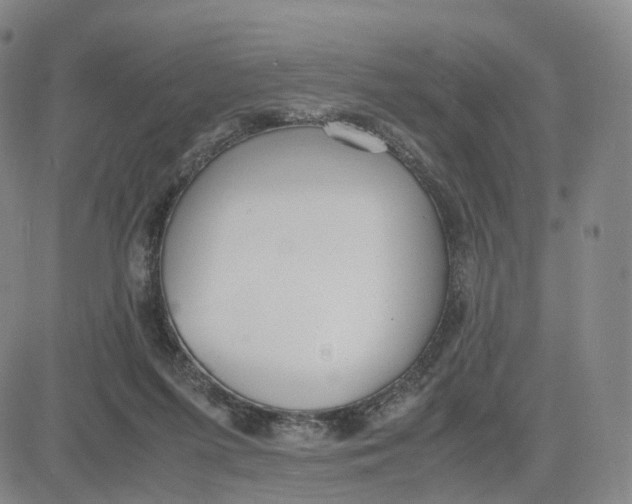 X0000083010215200702231821