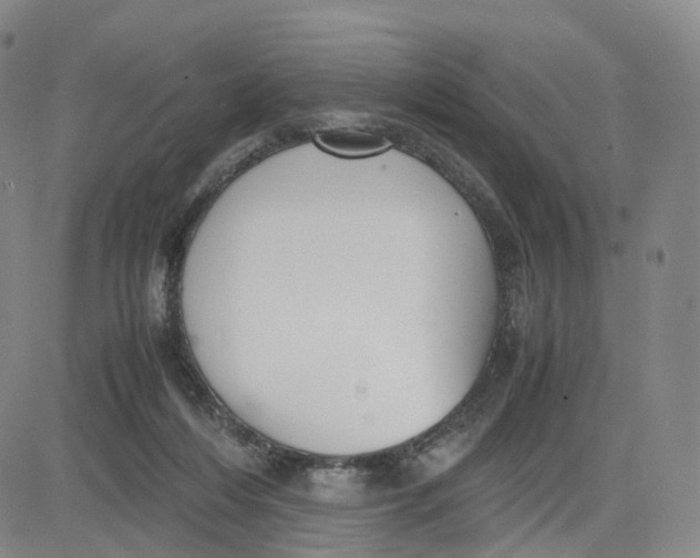 X0000083010216200702231820