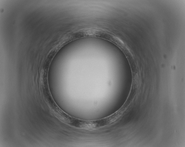 X0000083010217200702231820