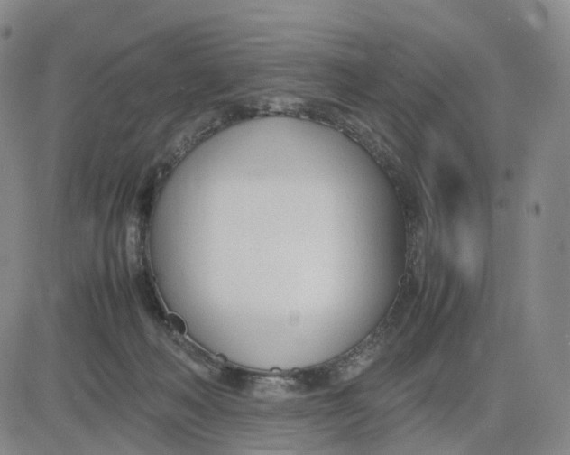 X0000083010222200702231820