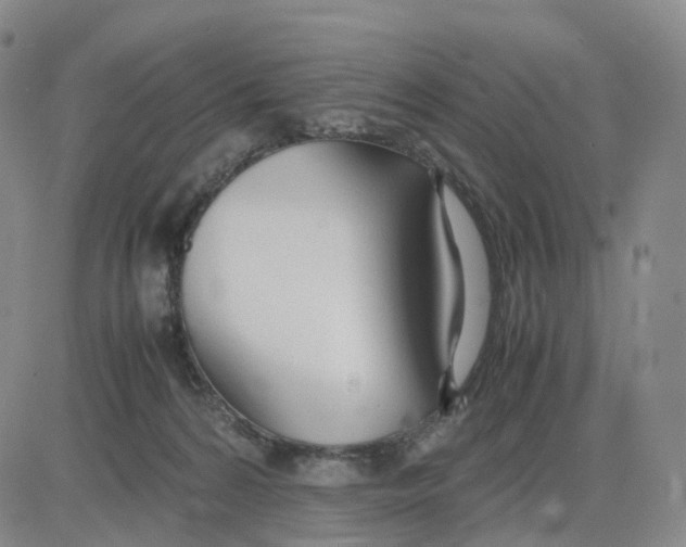 X0000083010224200702231820