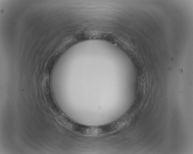 X0000083010225200702231820