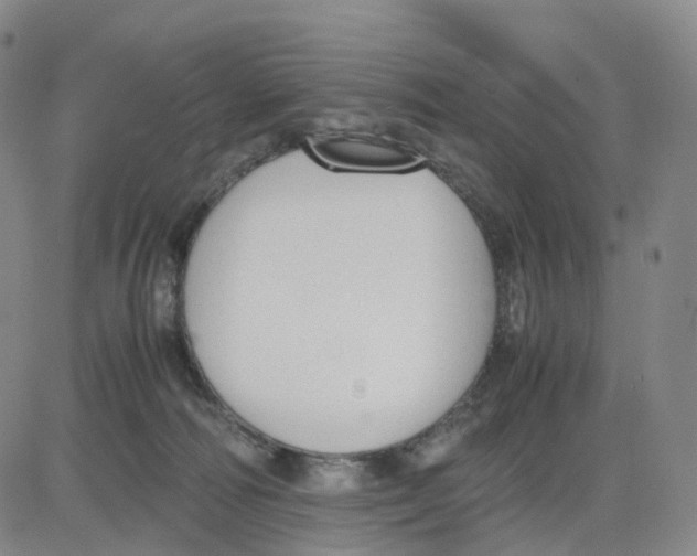 X0000083010226200702231820