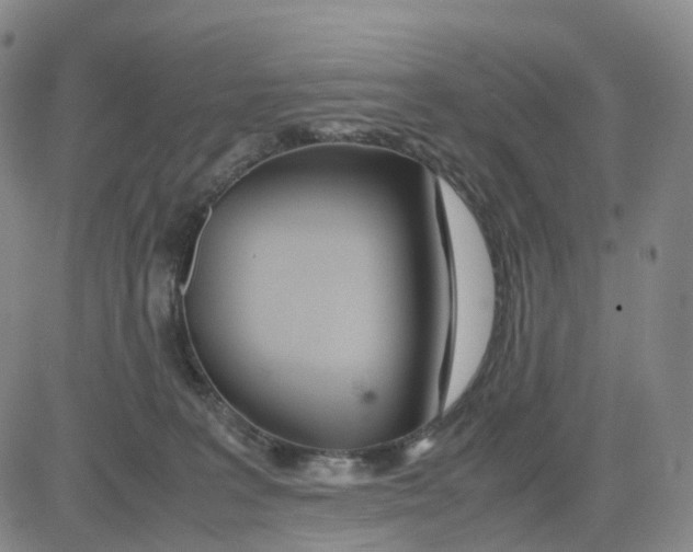 X0000083010227200702231820