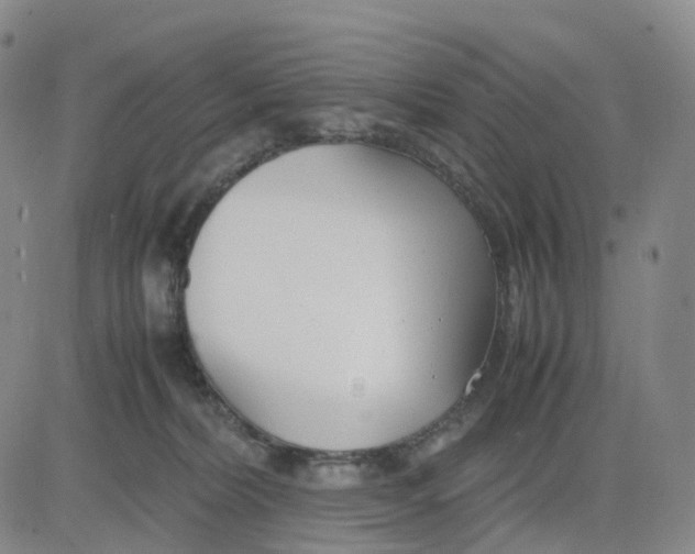 X0000083010228200702231820