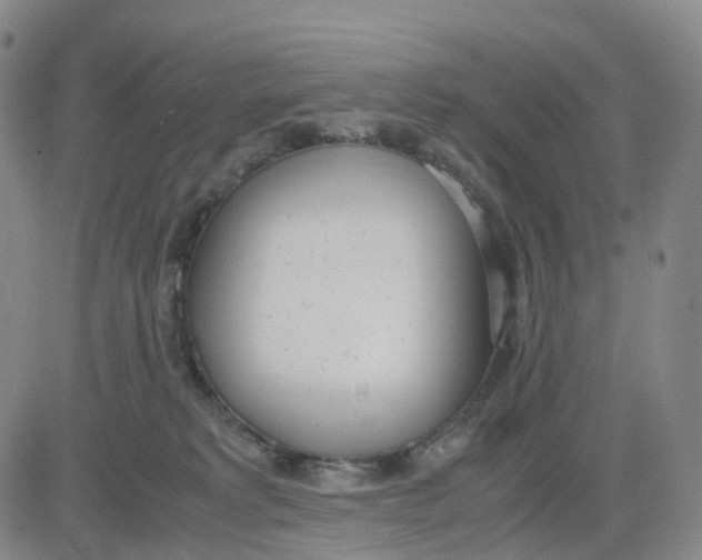 X0000083010229200702231820