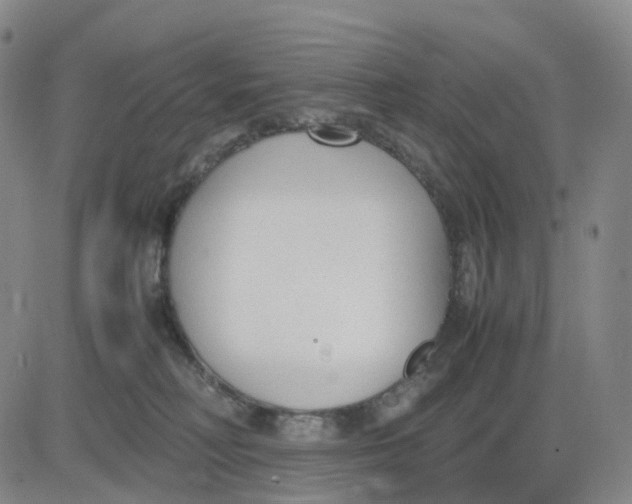 X0000083010230200702231820