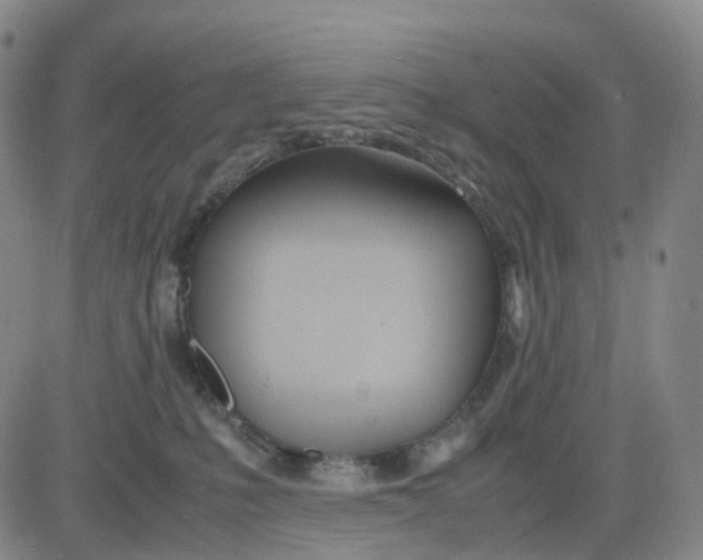 X0000083010231200702231820