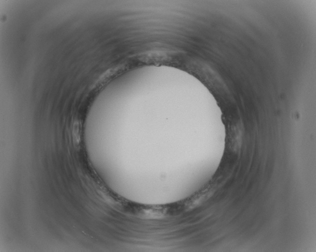 X0000083010232200702231820