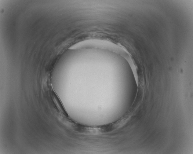 X0000083010233200702231820