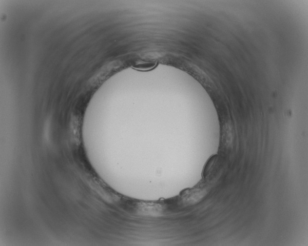 X0000083010234200702231820