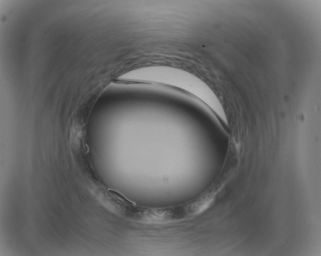 X0000083010235200702231820