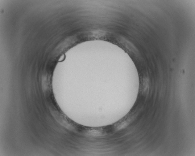 X0000083010236200702231820