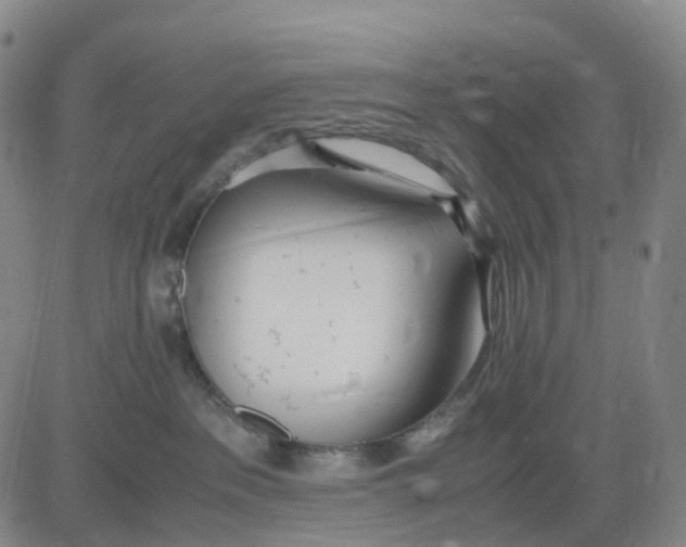 X0000083010237200702231820