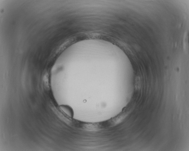 X0000083010238200702231820