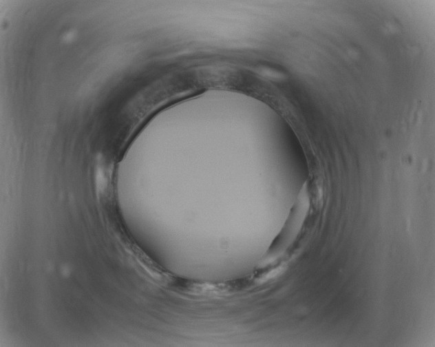 X0000083010239200702231820