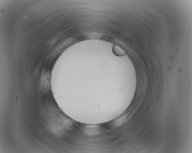 X0000083010240200702231820