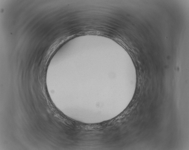 X0000083010241200702231819