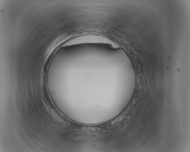 X0000083010242200702231819