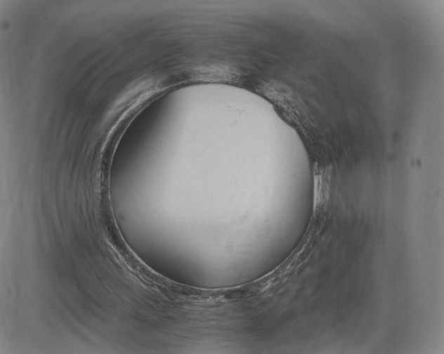 X0000083010243200702231819