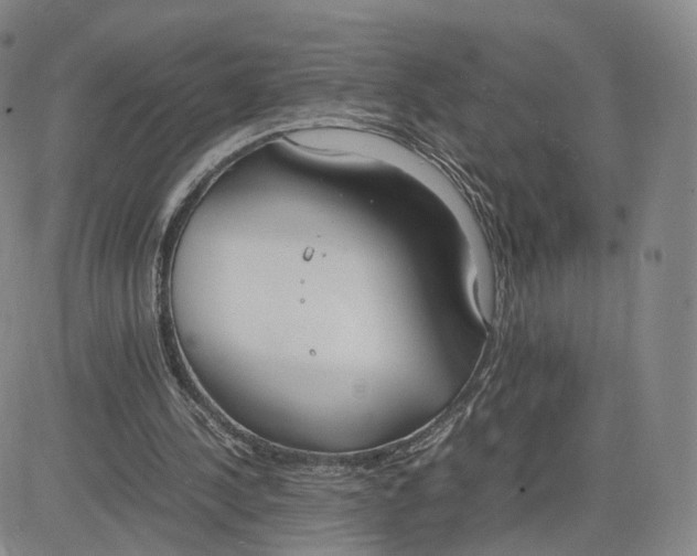 X0000083010244200702231819