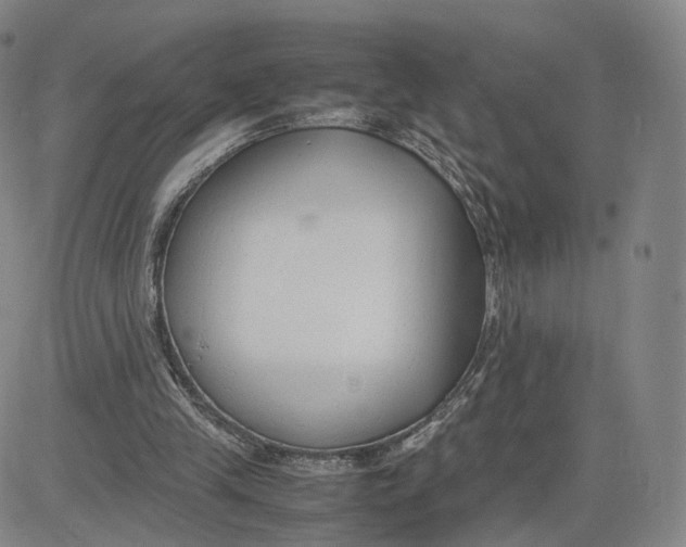 X0000083010245200702231819