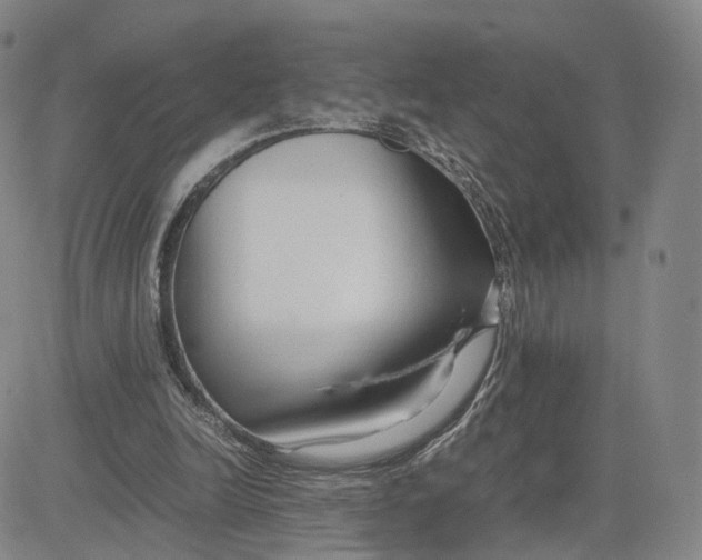 X0000083010246200702231819