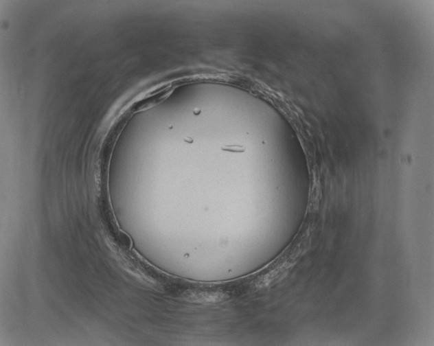 X0000083010247200702231819