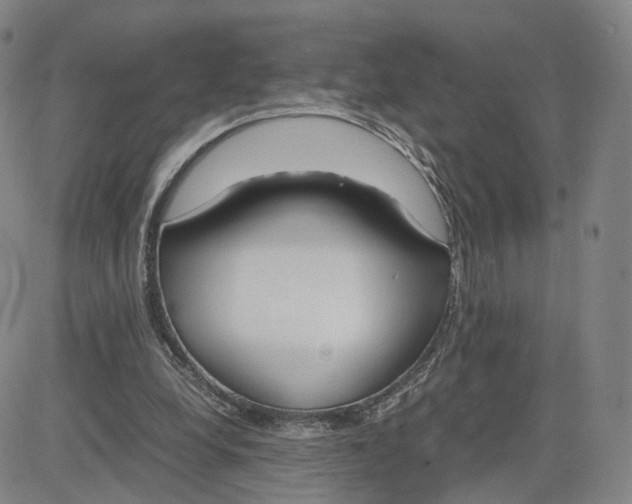 X0000083010248200702231819