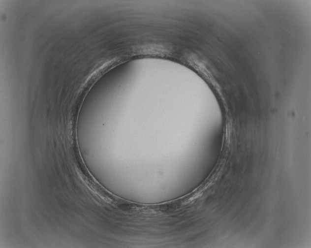 X0000083010249200702231819