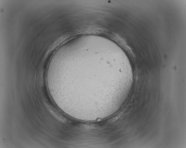 X0000083010250200702231819