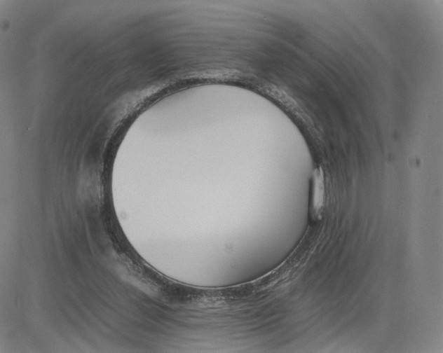 X0000083010252200702231819