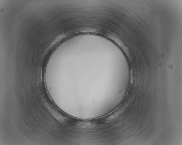 X0000083010253200702231819