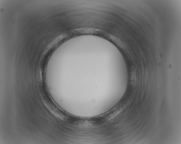 X0000083010254200702231819