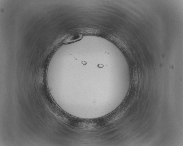 X0000083010255200702231820