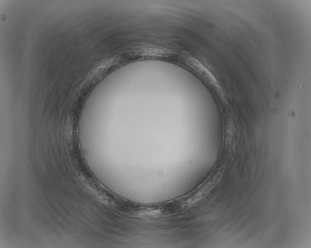 X0000083010257200702231820