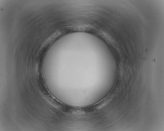 X0000083010258200702231820