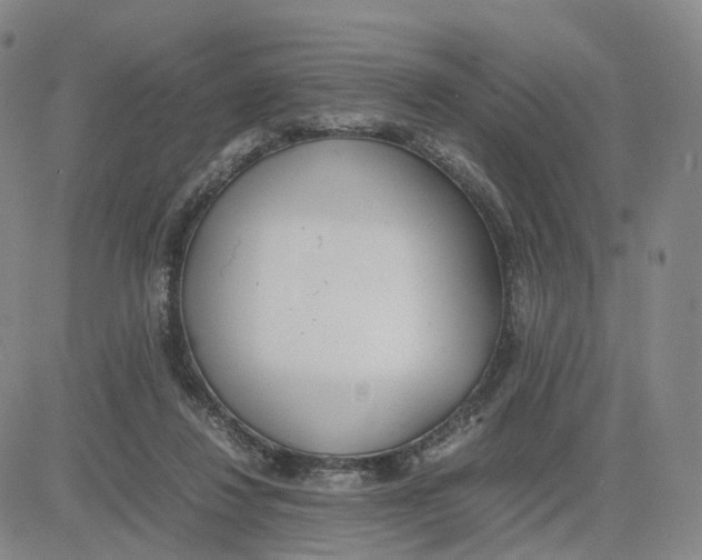 X0000083010260200702231820