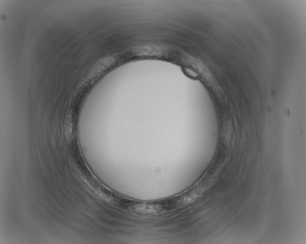 X0000083010261200702231820