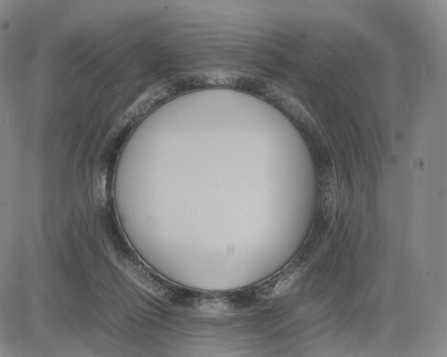 X0000083010262200702231820