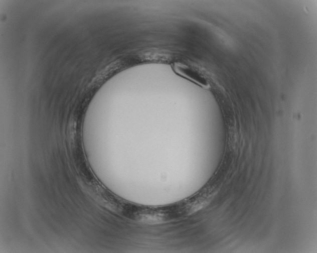 X0000083010263200702231820