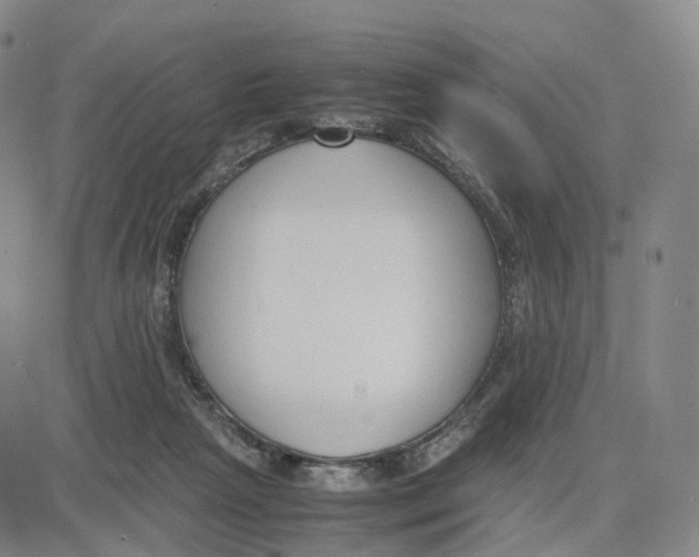 X0000083010265200702231820