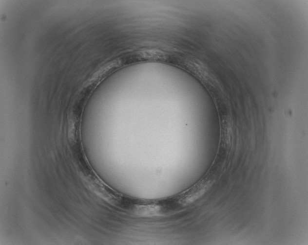 X0000083010266200702231820