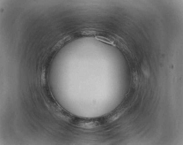 X0000083010267200702231820